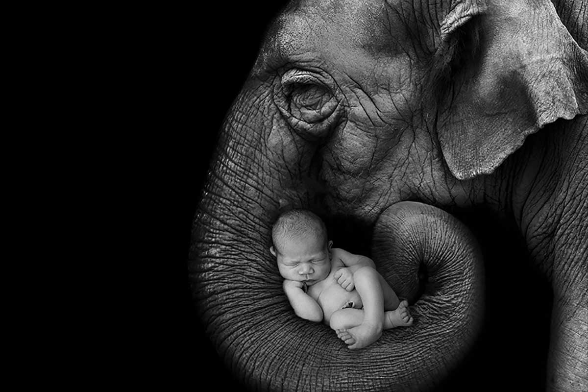 newborn15